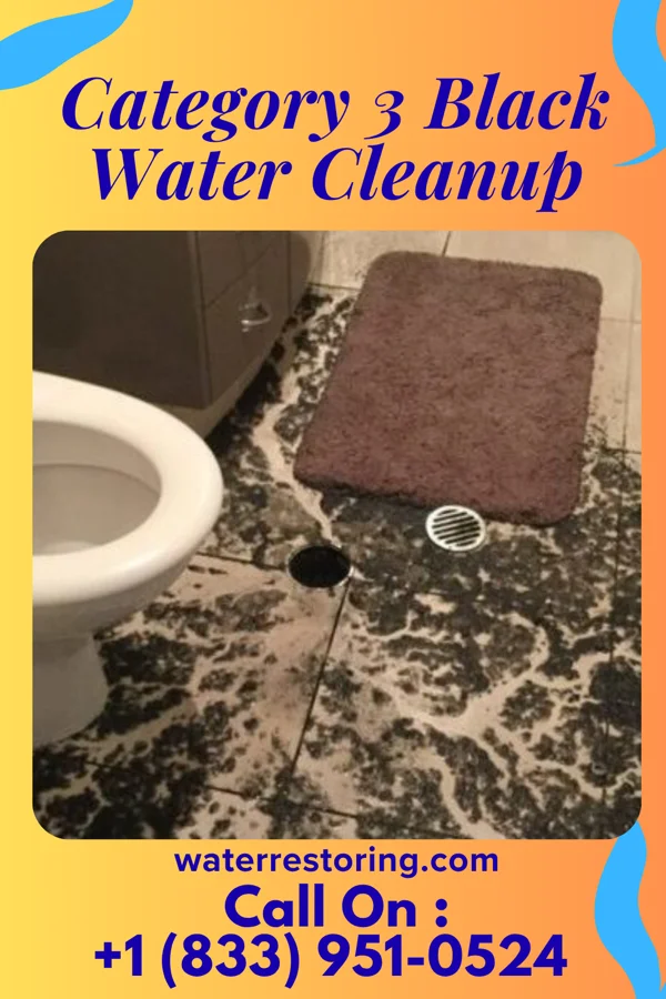 Category 3 Black Water Cleanup in Mount Pleasant, WI